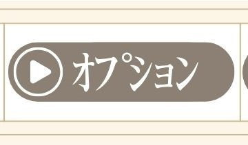 絵本 オリジナル絵本専門店 あなたの絵本ドットコム オプション商品